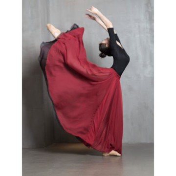 古典舞蹈服女720度飄逸中國舞雙層大擺裙練功服現代舞表演出春夏