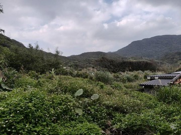 新北貢寮卯澳漁港超大面寬甲種住宅區用地｜新北市貢寮區卯澳段