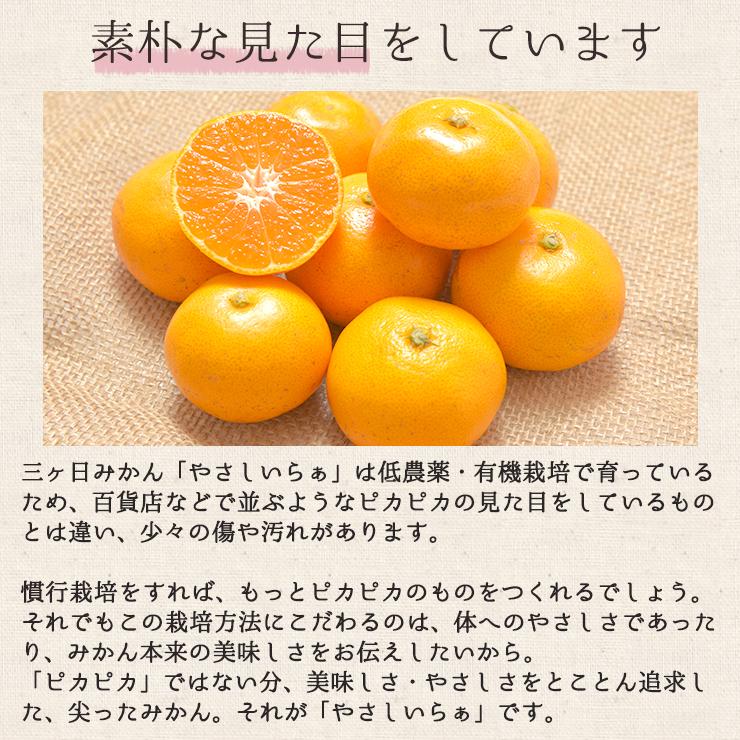  低農薬 有機栽培 三ヶ日 早生 みかん 10kg 送料無料 訳あり やさしいらぁ 3S 〜 3L サイズ不揃い 特別栽培 有機肥料 三ヶ日みかん 産地直送