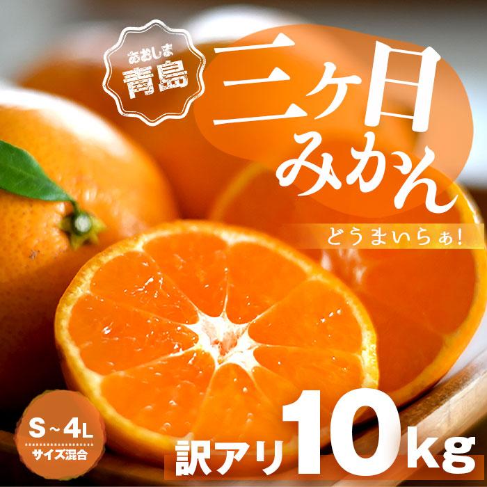 送料無料 みかん 三ケ日みかん 三ヶ日みかん ミカン 10kg 訳あり 訳アリ 三ヶ日 三ケ日 早生 どうまいらぁ！ S 〜 4L サイズ不揃 産地直送 訳ありみかん ミカン