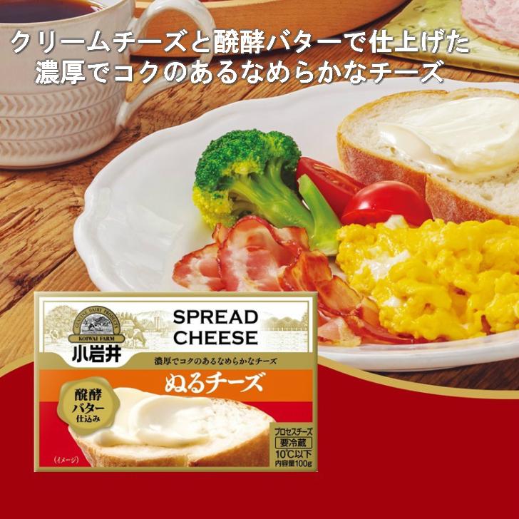 小岩井乳製品バラエティーセット 送料無料