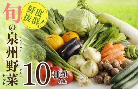 旬の野菜セット 詰め合わせ 10種類以上 国産 新鮮 お試し おまかせ お楽しみ