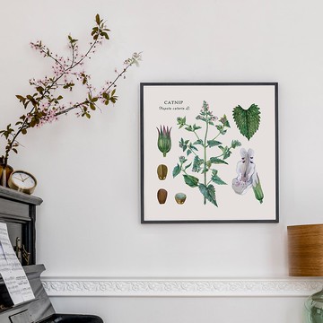 貓薄荷花譜 - 沙發掛畫/家居佈置/玄關/北歐/複製畫/catitem2026