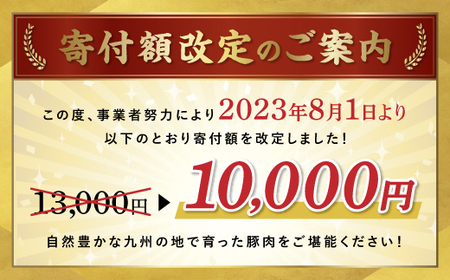 九州産　豚切り落とし　2.4kg