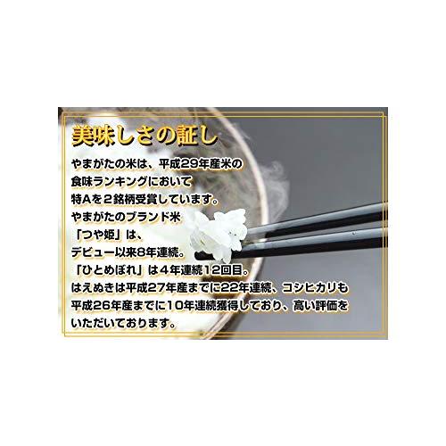  令和3年 山形県 庄内産 はえぬき 一等米 3分づき お米 10kg （5kg×2袋） 特別栽培米