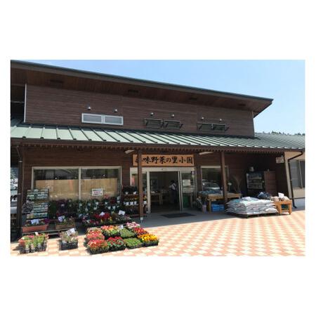 ふるさと納税 阿蘇小国産・旬の野菜とお米5kgの詰め合わせ 熊本県小国町