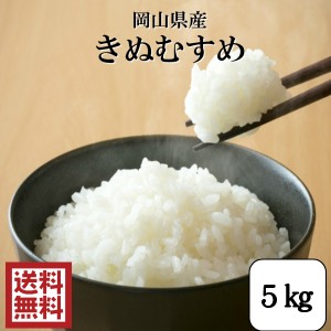 新米 米 5kg こめ お米 送料無料 お試し 令和5年産 岡山県産きぬむすめ5kg(5kg×1袋)