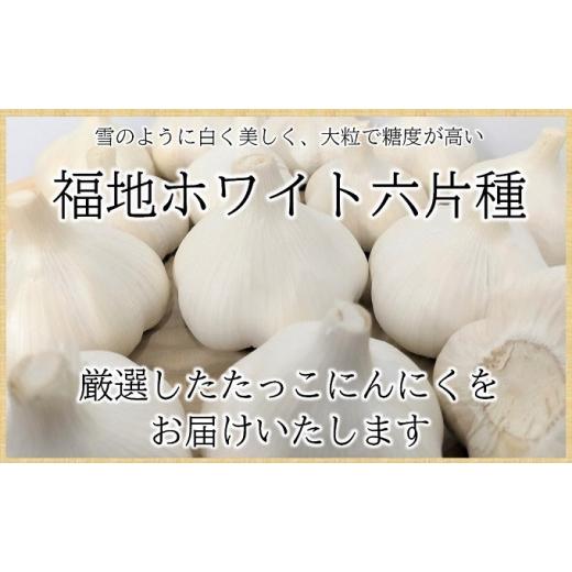 ふるさと納税 青森県 田子町 日本一たっこにんにく・6〜7玉（青森県田子町産にんにくL〜2L）