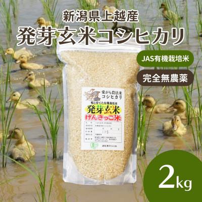 ふるさと納税 上越市 令和5年・新潟県産|JAS有機栽培アイガモ農法 コシヒカリ 発芽玄米 2kg