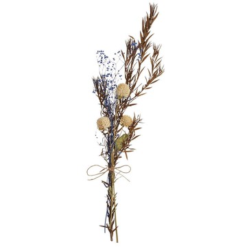 乾燥花 千日紅 NITORI宜得利家居