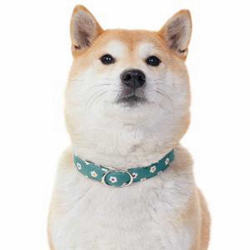 すず首輪製作工房 おうち首輪 花あられ 浅葱色 M 迷子札付き首輪 ネックレス 犬用 通販 Lineポイント最大get Lineショッピング