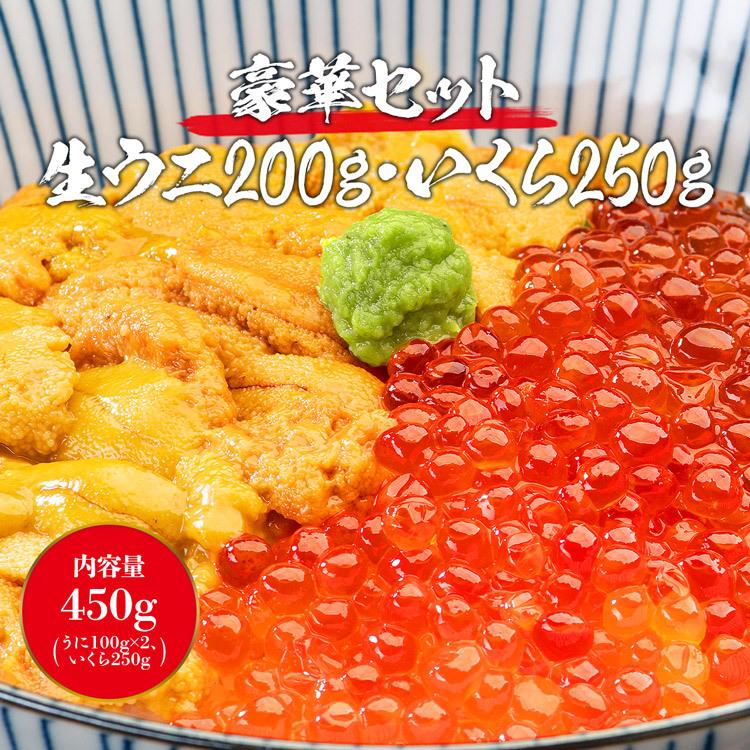 ウニとイクラのセット 無添加生うに 200g 訳あり 小粒いくら 250g 究極Aグレード生ウニ 海鮮丼 優良配送 食品 お歳暮 ギフト 10%クーポン