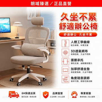 隔日達🏆蝦皮臻選🏆標準人體工學椅 書桌椅 零重力太空艙工學躺椅 工學椅 辦公椅 電腦椅遊戲電競椅辦公椅 升級透氣龍紋特網
