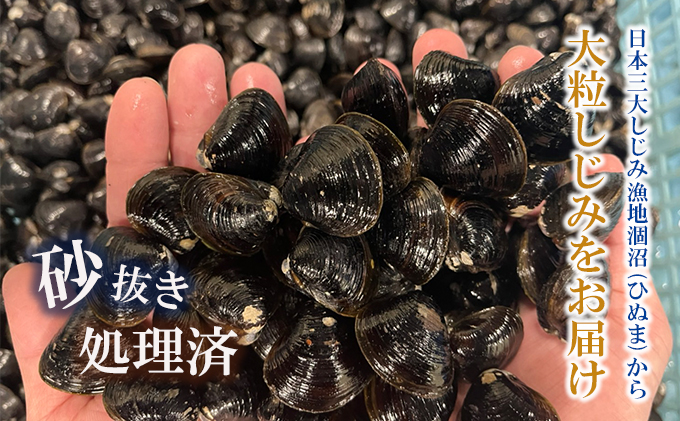 涸沼産 大粒 冷凍 シジミ 1.6kg （400ｇ×4袋） しじみ 蜆 大和しじみ ヤマトシジミ 大玉 砂抜き済 冷凍 味噌汁 スープ 魚貝類 貝 オルニチン コハク酸 小分け