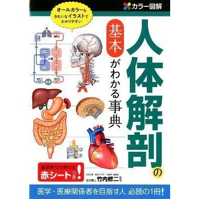 カラー図解人体解剖の基本がわかる事典