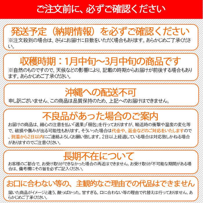 津之望 つののぞみ 10kg 和歌山産 減農薬 国産 送料無料 農家直送 産地直送