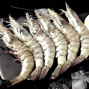 鮮凍生白蝦【大江生鮮】