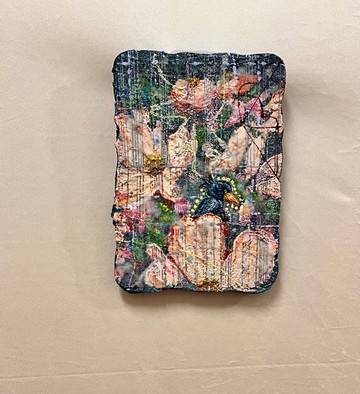 鯨頭鸛・餅乾岩系列