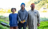 瀬戸内産 旬の野菜セット Wacca Farm