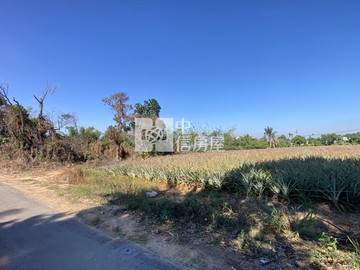 東區開心小農地｜嘉義市東區崎頂段