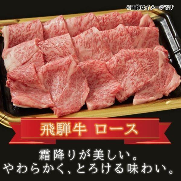  飛騨牛 A5 A4 ランク 牛肉 和牛 国産 焼き肉用 ギフト 焼肉用 牛 ロース 500g 3人前