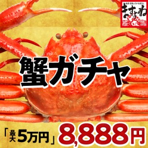 カニ福袋2024年！8,888円送料無料！在庫処分！10種のカニからどれか「1つ」が届く！【ズワイ蟹 タラバ蟹 毛ガニ 紅ズワイ蟹