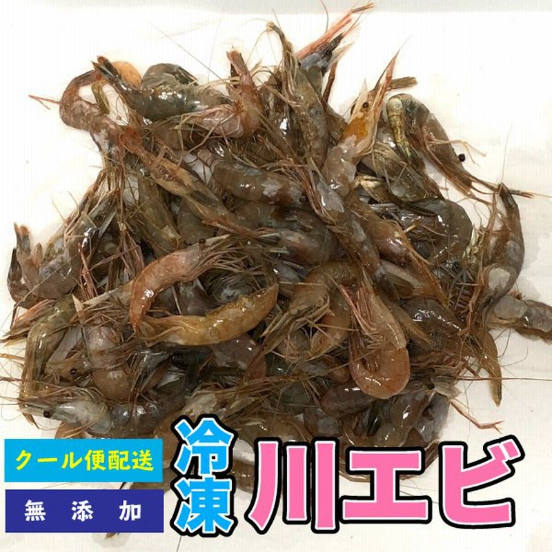 冷凍 川エビ 500g 天然 川エビ かわえび 熱帯魚 餌 肉食 かめ 大型魚 水棲カメ用 海老 エサ 餌 クール便配送 別途クール便送料 Dbp 通販 Lineポイント最大get Lineショッピング