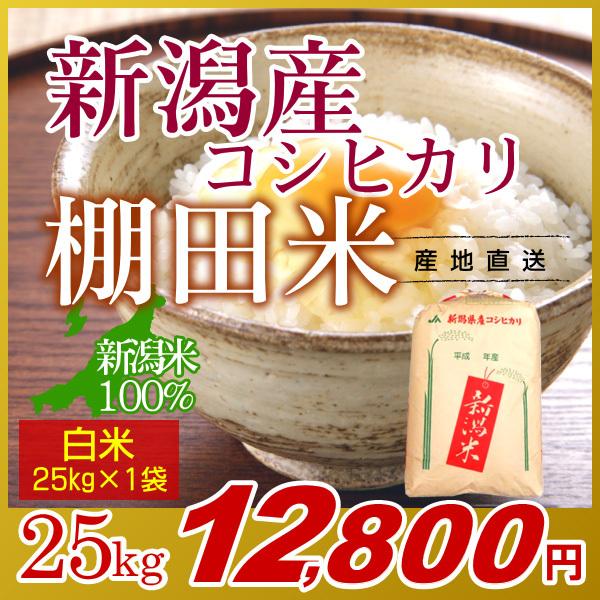 新潟コシヒカリ 白米 25kg／新米 米 お米 新潟 コシヒカリ こしひかり 新潟米 棚田米 おいしいお米 精米 25キロ