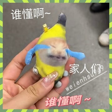 ✨線貨 小紅書同款 香蕉貓 Happy猫 哭泣貓 有聲音 個性 搞笑 表情包 公仔掛件 搞怪吊飾 新款 可愛 背包掛飾