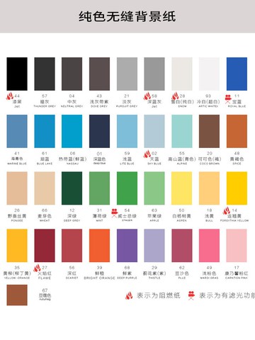 仙麗2.72*11m拍照背景紙單色攝影背景布影樓婚紗人像拍攝白色照相背景道具攝影棚背景布大尺寸灰色背景紙純色