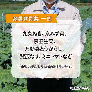 ふるさと納税  京野菜 野菜 6種 程度 定期便 6回 野菜 詰め合わせ 野菜 京都 野菜セット 季節 旬 栄養食 栄養野菜 九条ネギ 野菜 万願寺 .. 京都府