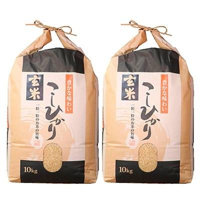 ふるさと納税 七尾市 令和5年産　石川県能登産こしひかり　玄米20kg(10kg×2袋)