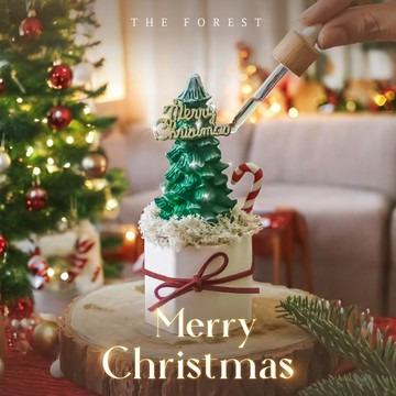 Make wishes 北歐森林迷你聖誕樹擴香（贈送5ml香氛油）