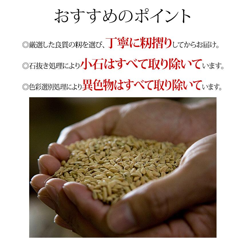 玄米 5kg 奥信濃キヌヒカリ 令和5年産 新米 長野県飯山