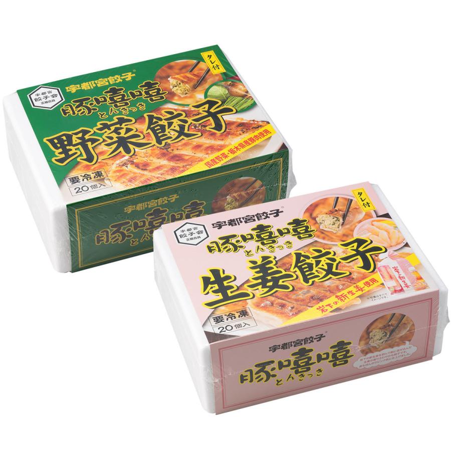 野菜餃子・生姜餃子 20個入各1箱 2種詰合せ 餃子 惣菜 生姜 ぎょうざ 野菜 栃木 宇都宮餃子とんきっき