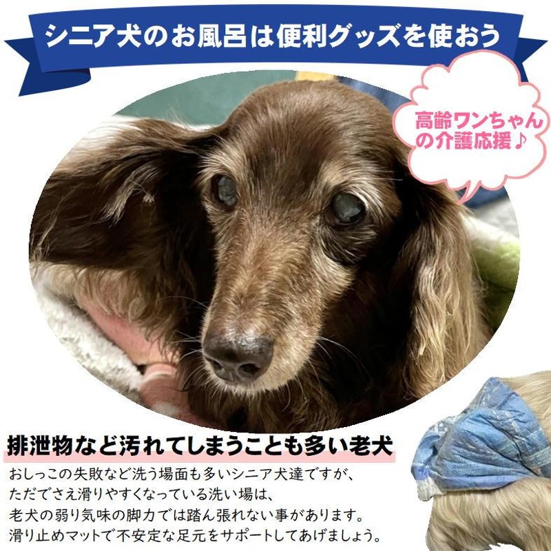 犬 シャンプー 滑り止め マット ワンちゃん ペット シャンプーマット