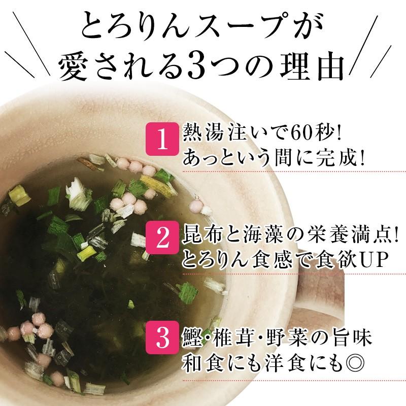 昆布 海藻 がごめ昆布 わかめ とろろ昆布入 即席 ギフト 海藻スープ インスタント 食物繊維 食品 たっぷり30杯分 とろりんスープ （うめ味） 60g×2袋