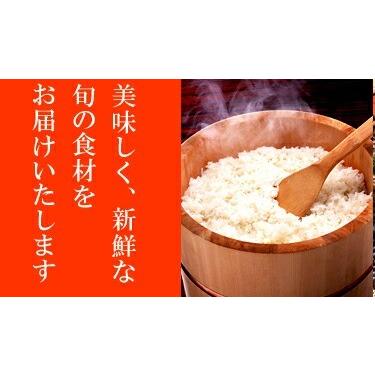 新米　　令和５年度産京都丹波産コシヒカリ２キロお試し！　農家直送 ★京都丹波産コシヒカリ２キロ増量　２４キロまで可能です