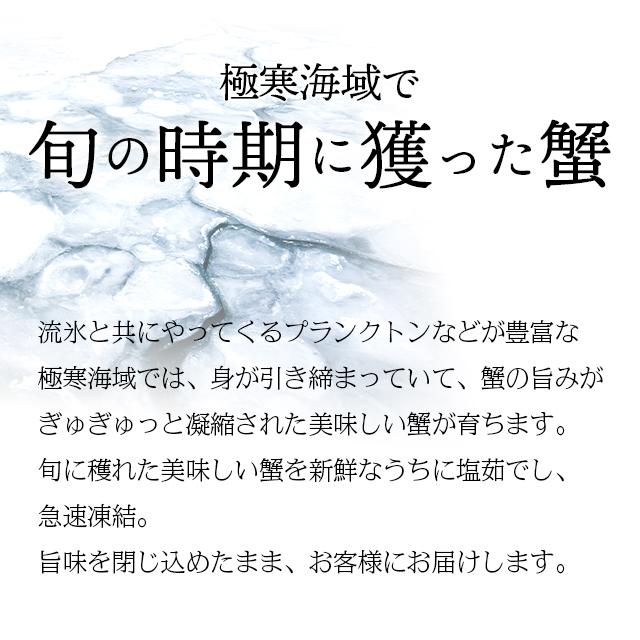 お歳暮 カニ ギフト 送料無料 ちょっと訳有 北海道稚内産 毛蟹 1kg 1尾   御歳暮 毛蟹 毛ガニ 特大 大きい 姿 蟹姿 茹で ボイル済み 冷凍