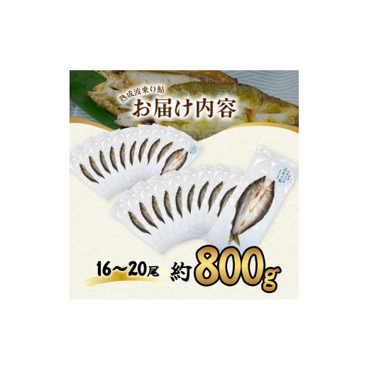 ふるさと納税 徳島県 海陽町 一夜干し風熟成天然波乗り鮎 約800g 16〜20尾 干物 一夜干し 鮎 天然 熟成 あゆ アユ 天然鮎 清流 海部川 川魚 簡単調理 冷凍