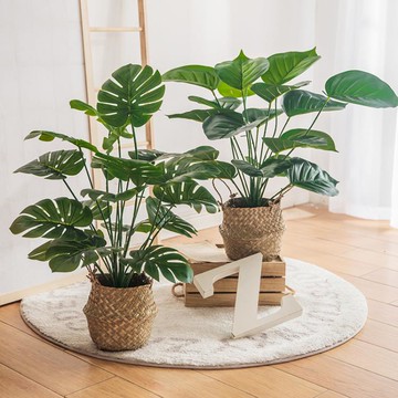 北歐客廳仿真植物龜背綠植擺件假花ins風裝飾小盆栽桌面擺設創意 雙11全館免運