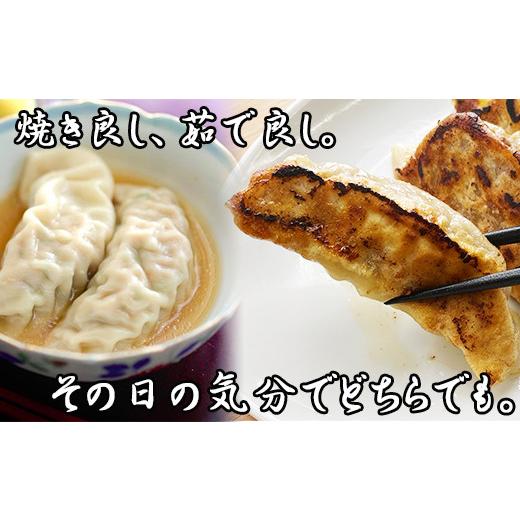 ふるさと納税 岩手県 雫石町 冷凍生餃子  ／ 餃子 ぎょうざ ギョウザ ギョーザ 中華惣菜