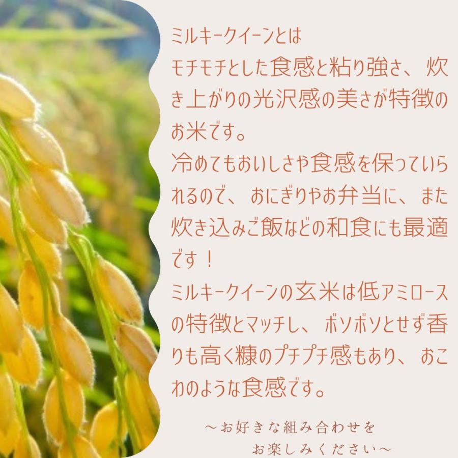九州熊本県産米　阿蘇ミルキークィーン　令和４年産米　精白米20kg　（5kg×4袋）
