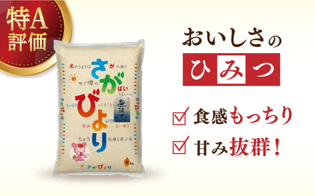 令和5年産 さがびより 無洗米 白米 計60kg（5kg×2袋×6回） 佐賀県 株式会社森光商店[41ACBW034]