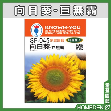 【隔日到貨】向日葵-巨無霸 SF-045 花卉特選種子 農友牌 小包裝種子 約40粒/包【HOMEDEN霍登園藝】