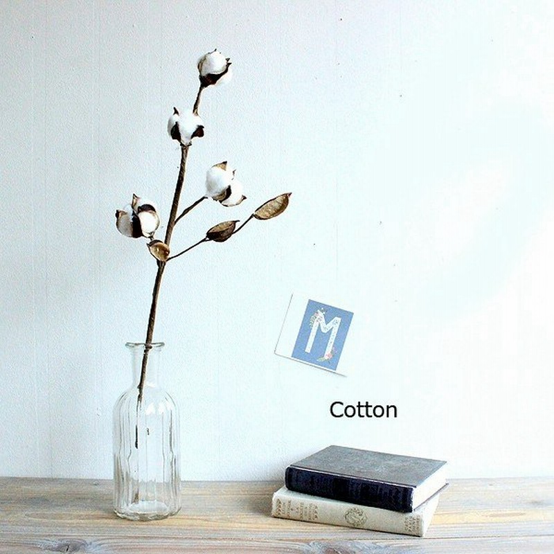 コットンフラワー Cotton Flower 造花 フェイクフラワー 通販 Lineポイント最大0 5 Get Lineショッピング