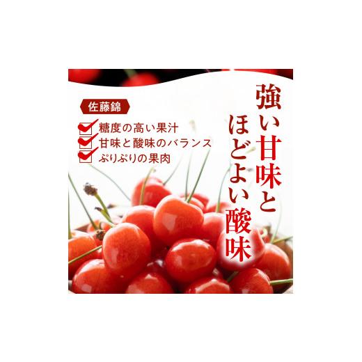 ふるさと納税 山形県 東根市 GI「東根さくらんぼ」 2024年産 佐藤錦500g化粧箱詰め JA産直提供