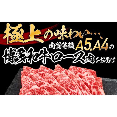 ふるさと納税 数量限定　博多和牛ロース焼肉用　500g 福岡県田川市