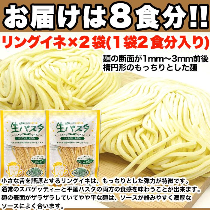 生パスタ8食セット800g(フェットチーネ200g×2袋・リングイネ200g×2袋)