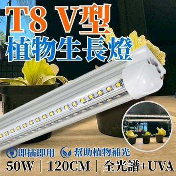 【君沛】V型雙排 50W UVA顯色 4呎 T8一體式植物燈 全光譜 抑制徒長 龍舌蘭 多肉上色 大型植物架補光 免燈座